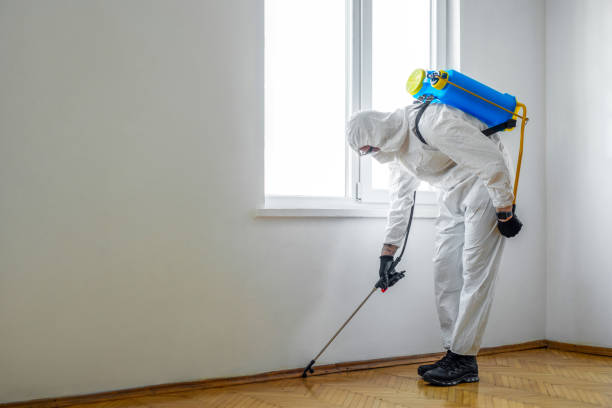 Best Residential Pest Control  in Abbeville, LA